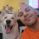 David Agosto - @davidagosto7 - Instagram