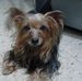 David Agosto - Facebook