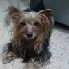 David Agosto - @david.agosto2 - TikTok