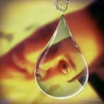 David Aharon - @aharondavid200 - Instagram