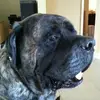 davidaherne761 - @davidaherne761 - TikTok