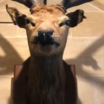 David Ahlers - @ahlers3910 - Instagram
