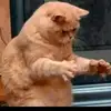 David Aikins - @david.aikins5 - TikTok