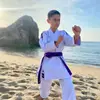 David - @davidaitanunes - TikTok