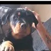 David Aitchison - @i_love_boost_xxx - TikTok