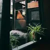 Davidajie - @davidajie - TikTok