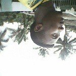 David Akam - @akamdavid25 - Instagram