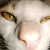David Akbar - @david.akbar355 - TikTok