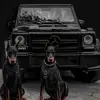 David Yaker - @david.yaker - TikTok