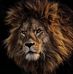 Dave Akinwale - Facebook
