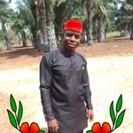 Aku David - @davidaku71 - Instagram