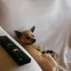 davide alagna - @davide.alagna4 - TikTok