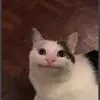 david alaniz - @david.alaniz47 - TikTok