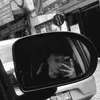 David Alaniz - @d4rk.dave - TikTok