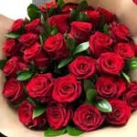 David Alaric - @david_alaric_45923 - Instagram