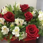 David Alaric - @david_alaric_5277 - Instagram