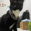David Alberto Ibarra - @david.albe - TikTok