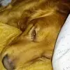 David Alberti - @david.alberti - TikTok