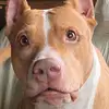 david_albo97 - @david_albo97 - TikTok