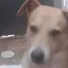 davidalbonetidesa - @davidalbonetidesa - TikTok