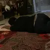 davidalbustommy - @davidalbustommy - TikTok