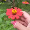 David Alby - @david.alby - TikTok