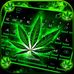 David Alcon - Facebook