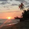 David Alcos - @david.alcos - TikTok