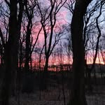 David Anthony Aldred - @david.aldred.1957 - Instagram