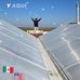 David Alejo - Facebook