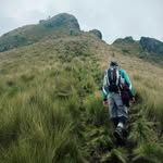 David Alexandro Gainza Artieda - @davidgainza1 - Instagram