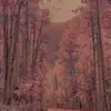 David Alexis - @davidalexis243189 - TikTok