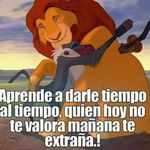 David Alfano - @alfano517 - Instagram