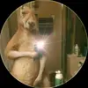 David Alfredo - @david.alfredo98 - TikTok