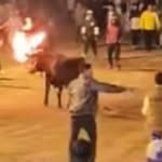 Jian_Chauca🐂 - @david_alias_el_gato - Instagram