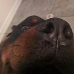 David Allaire - @david12140 - Instagram