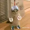 davidallardice885 - @prodemon11111222333 - TikTok