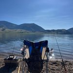 David Allbee - @allbeedavid - Instagram