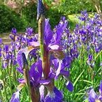 David Allerton - @davidallerton63 - Instagram