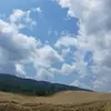 David Altizer747 - @davidaltizer747 - TikTok
