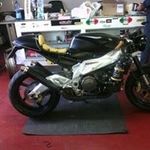 David Amadio - @amadiodavid - Instagram