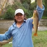 Davidvirgilio Amarelo - @davidvirgilioamarelo - Instagram