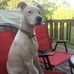 David Amberg - Facebook