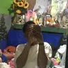 yamete kudasi - @davidamberson - TikTok