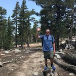 David Ambler - @weddingdresslove - Instagram