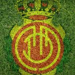 David Ruiz Ameller - @davidameller - Instagram
