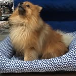 David Amelung - @davidamelung - Instagram