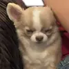 davidames223 - @davidames223 - TikTok