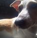 David Amoguis - Facebook