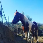 Davide filice - @davi.damicistretti - Instagram